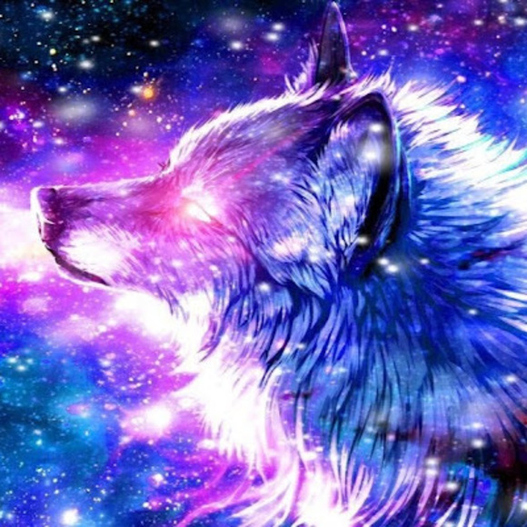 Meet your Posher, Len - Picture 1 of 1